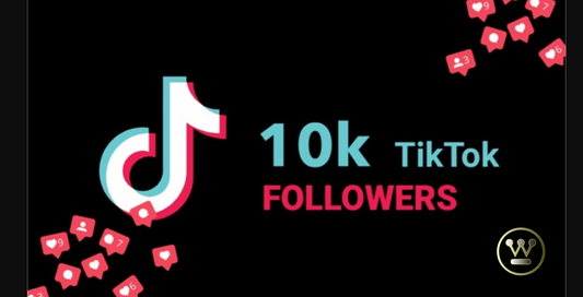 100 FOLLOWER TIKTOK